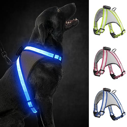Visinite LED-Hundegeschirr mit Licht, wiederaufladbar, leuchtende Hundeweste, 2 Beleuchtungsmodi, verstellbares beleuchtetes Geschirr für sichere Nachtspaziergänge Visinite LED-Hundegeschirr mit Licht, wiederaufladbar, leuchtende Hundeweste, 2 Beleuchtungsmodi, verstellbares beleuchtetes Geschirr für sichere Nachtspaziergänge von Visinite