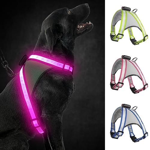 Visinite LED-Hundegeschirr mit Licht, wiederaufladbar, leuchtende Hundeweste, 2 Beleuchtungsmodi, verstellbares beleuchtetes Geschirr für sichere Nachtspaziergänge Visinite LED-Hundegeschirr mit Licht, wiederaufladbar, leuchtende Hundeweste, 2 Beleuchtungsmodi, verstellbares beleuchtetes Geschirr für sichere Nachtspaziergänge von Visinite