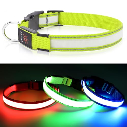 Visinite Leuchtendes LED-Hundehalsband, Wiederaufladbar, Wasserdicht, Reflektierend, Vollständig Verstellbar, Blinkend, für Mittelgroße und Große Hunde, Grün, L von Visinite