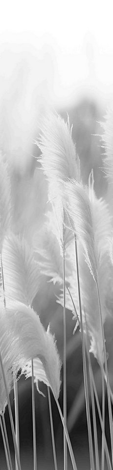 Vision S Schiebegardine Dinora 3Er Set 260 x 60 cm 3x Schiebevorhang inkl. Paneelwagen Grau (3 St), Kunstfaser, 3x Schiebevorhang inkl. Paneelwagen und Klemmleiste Grau von Vision S