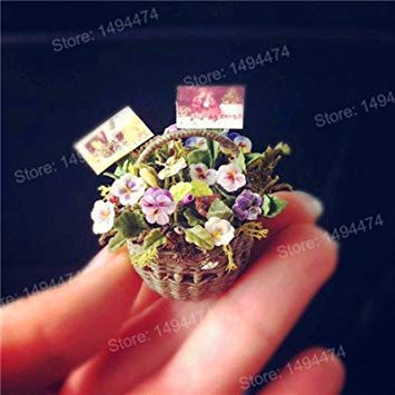 Vista 200 stücke mischfarbe seltene mini stiefmütterchen samen Wellenförmige Viola Tricolor Blumensamen Helle Schöne folwer mini bonsai für hausgarten Dunkelgrau von Vista