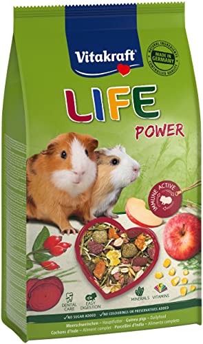 Vitakraft Life Power, Hauptfutter für Meerschweinchen, mit Apfel und Roter Beete, mit Beta-Glucanen, stärkt die Abwehrkräfte, unterstützt den Zahnabrieb, ohne Zucker (1x 600g) von Vitakraft