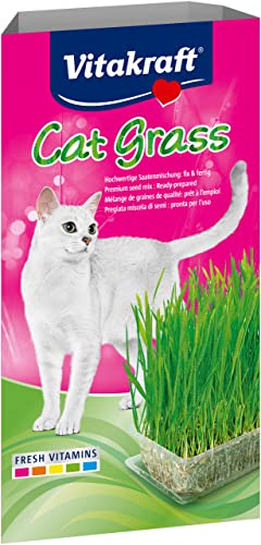 Vitakraft Cat Grass, frisches Katzengras, Katzengras fertig gewachsen, mit Vitaminen und Mineralien (1x 120g) von Vitakraft