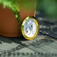 Vitavia - Hygrometer für Gewächshäuser gold von Vitavia