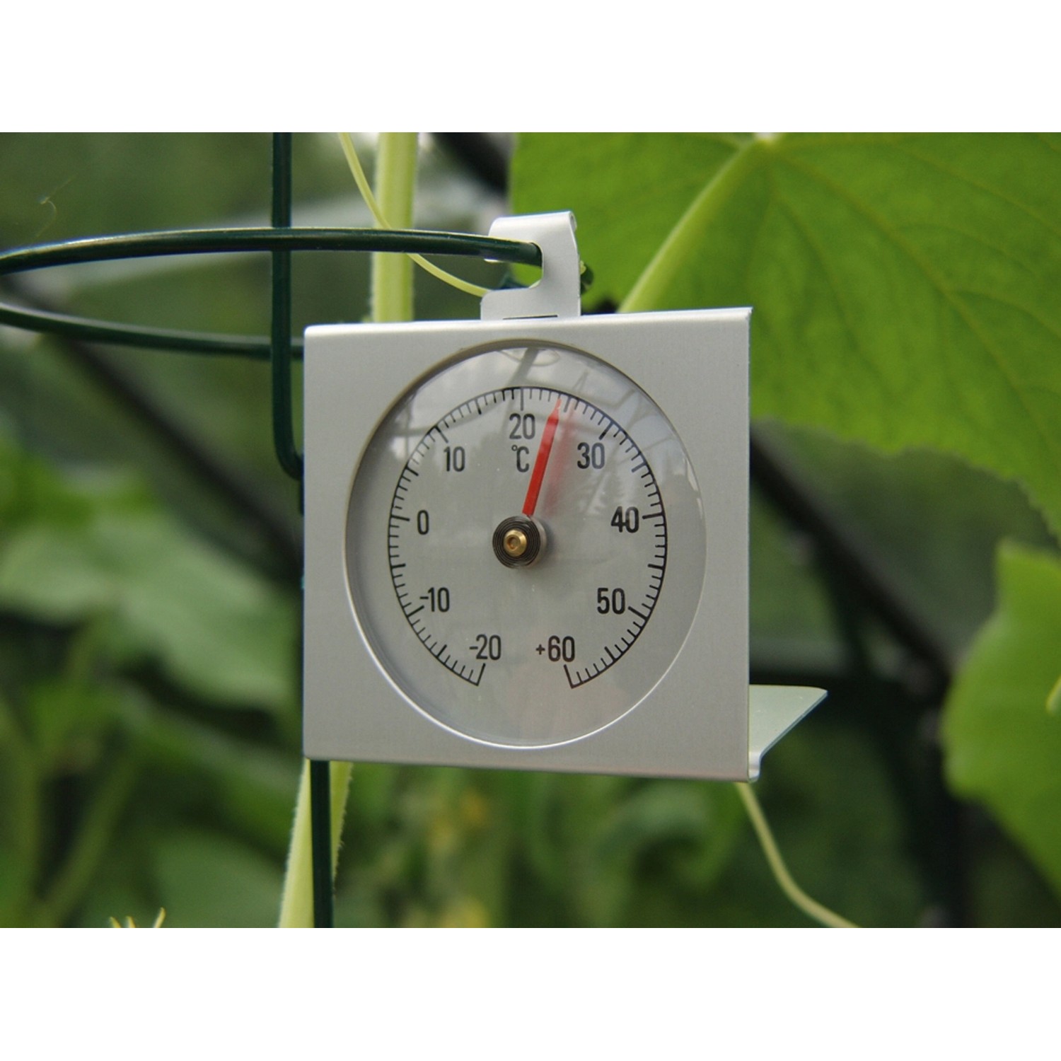 Thermometer von Vitavia
