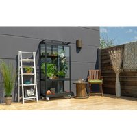 Balkon- und Anlehn-Gewächshaus 'Stad' schwarz 3 mm esg mit Rollfundament - Vitavia Balkon- und Anlehn-Gewächshaus 'Stad' schwarz 3 mm esg mit Rollfundament - Vitavia von Vitavia