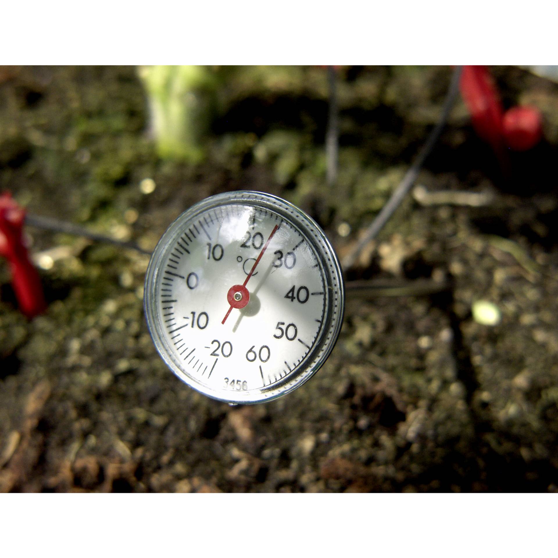 Vitavia Erdthermometer Vitavia Erdthermometer von Vitavia