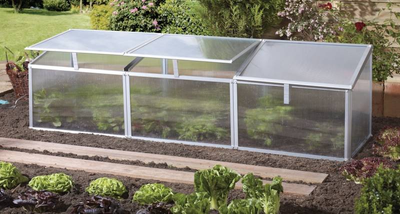 Vitavia Frühbeet Gaia 3X inkl. 3 Dachfenstern von Vitavia