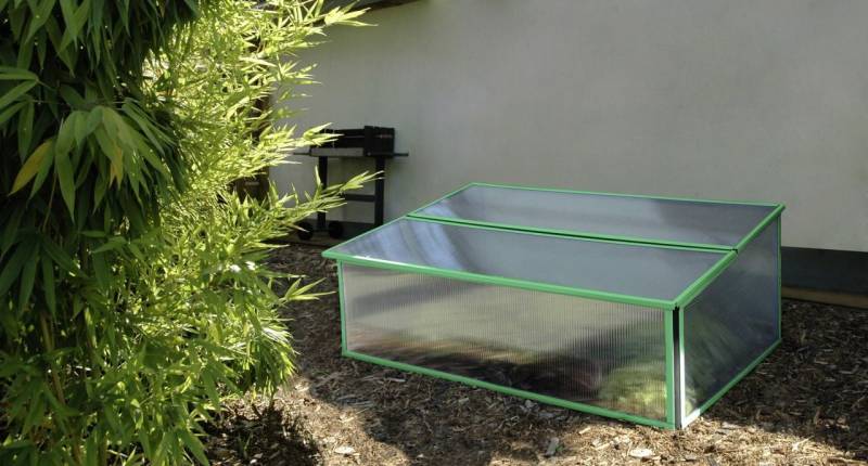 Vitavia Frühbeet Levana 1 57 x 98 cm aqua von Vitavia
