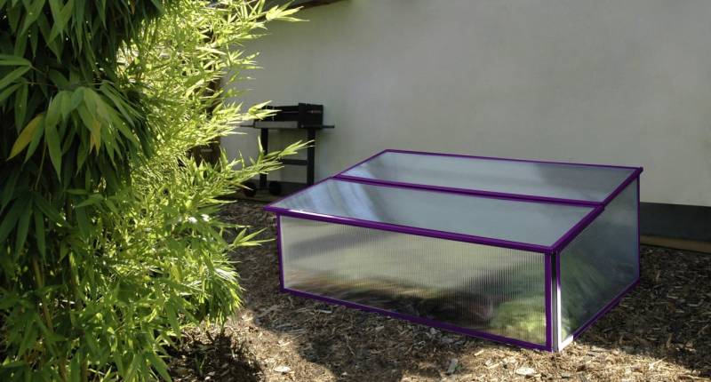 Vitavia Frühbeet Levana 1 57 x 98 cm feige von Vitavia