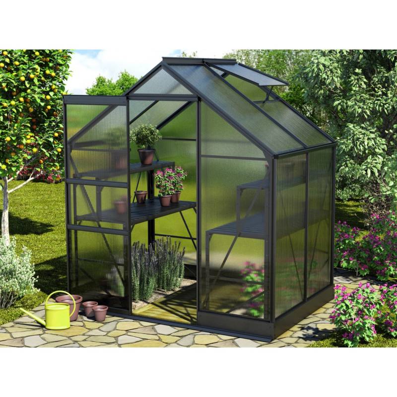 Vitavia Gewächshaus Apollo 2500 Schwarz 5 m² inkl. Fundament von Vitavia