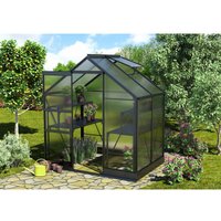 Vitavia - Gewächshaus 'Apollo 2500' schwarz 2,5 m² 6 mm hkp Vitavia - Gewächshaus 'Apollo 2500' schwarz 2,5 m² 6 mm hkp von Vitavia