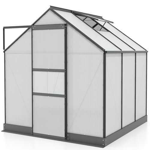 Vitavia Gewächshaus Apollo 3800" schwarz | 3,8 m² | 6 mm HKP | Inkl. Stahlfundament | Barrierefreier Zugang | Tür für Vorhängeschloss | Einfacher Aufbau | Langlebig & Wetterfest von Vitavia