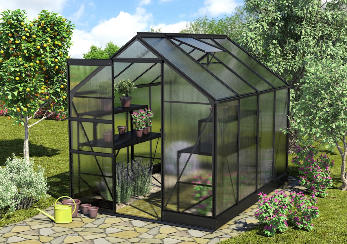 Vitavia Gewächshaus Apollo 5000 inkl. 1 Dachfenster - 5,0 m²-schwarz-4 mm Hohlkammerplatten von Vitavia