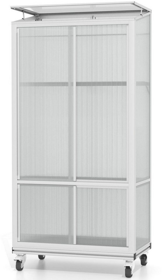 Vitavia Gewächshaus HKP4mm, BxTxH: 81 x 43 x 168,2 cm, 4 mm Wandstärke, Balkongewächshaus mit Rollfundament, silber Vitavia Gewächshaus HKP4mm, BxTxH: 81 x 43 x 168,2 cm, 4 mm Wandstärke, Balkongewächshaus mit Rollfundament, silber von Vitavia