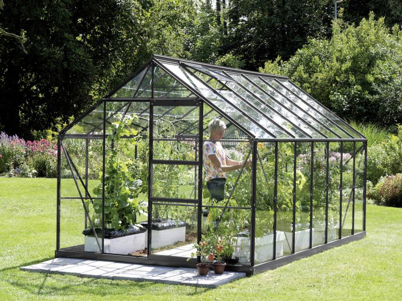 Vitavia Gewächshaus Merkur 11500 254 x 441 cm 3 mm Sicherheitsglas von Vitavia