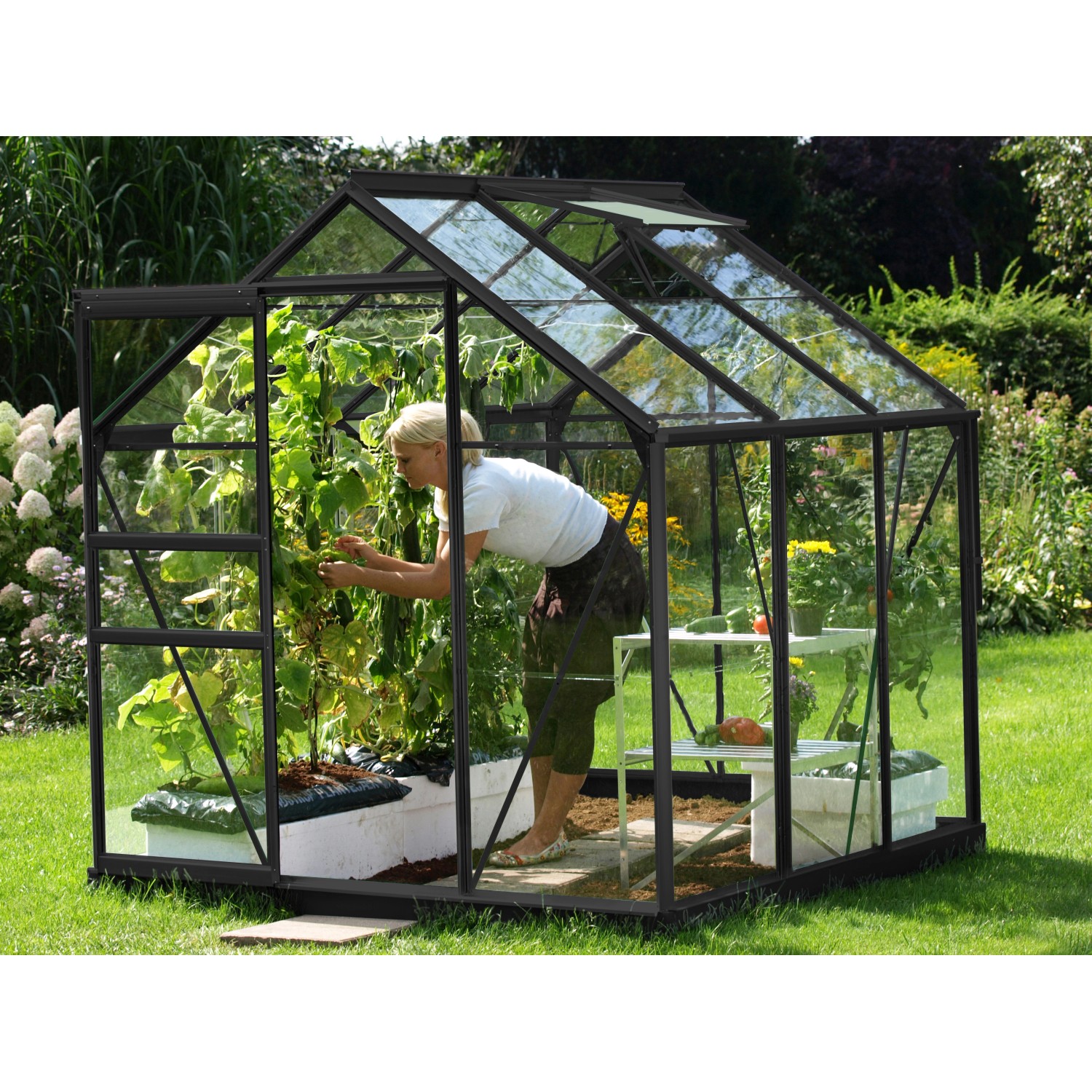 Vitavia Gewächshaus Venus 3800 ESG 3 mm Schwarz von Vitavia
