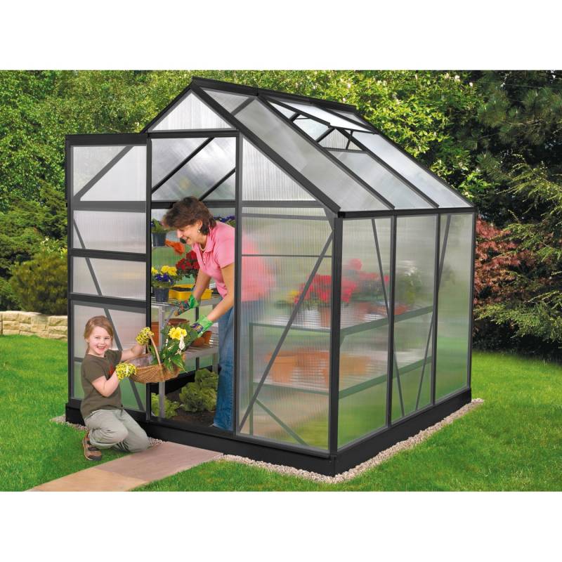 Vitavia Gewächshaus Venus 3800 Schwarz 3,8 m² von Vitavia