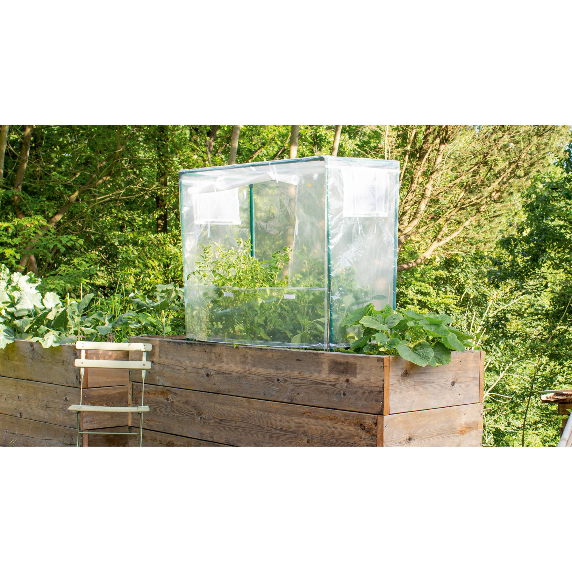 Vitavia Hochbeet-Abdeckung 'S' 88 x 105 x 55 cm transparent von Vitavia