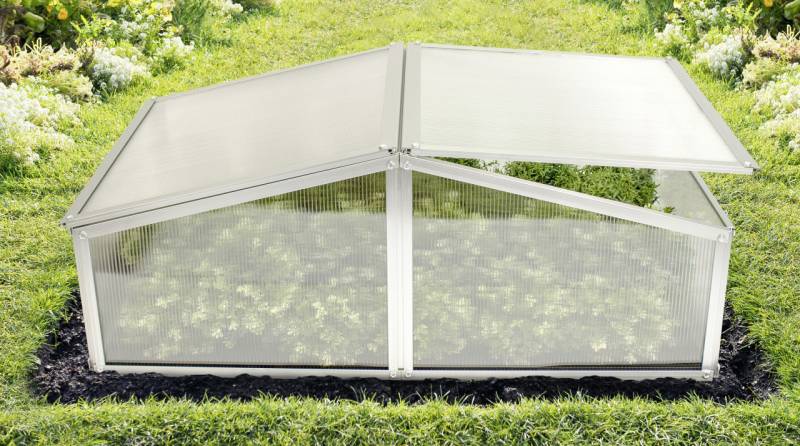 Vitavia Frühbeet Gaia XS 100 x 60 cm inkl. 2 Dachfenstern von Vitavia