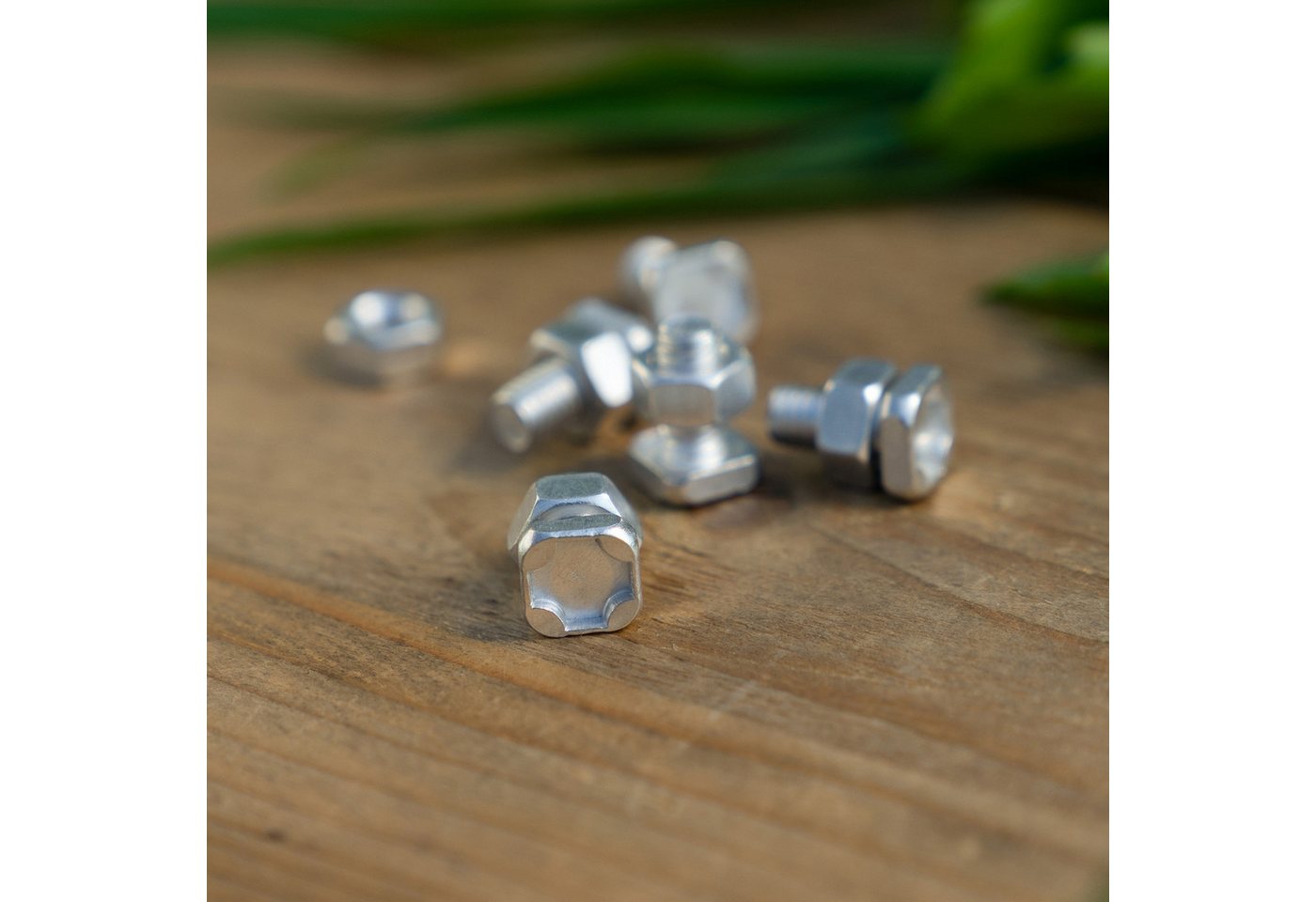 Vitavia Schrauben-Set Aluschrauben und Muttern-Set für Montage von Vitavia Gewächshäusern, (10 Stück) von Vitavia