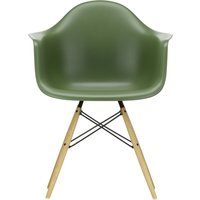 Vitra - DAW Eames Plastic Armchair Vitra - DAW Eames Plastic Armchair von Vitra