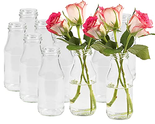 10 Stück Runde Mini Vasen Typ 263 Glasfläschchen kleine Dekoflaschen Flasche Väschen Vase Glasflaschen Blumenvase (10 Stück) von Vitrea