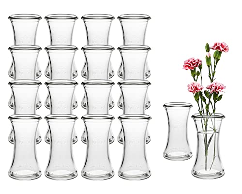 12 Stück Runde Typ DEL100 Mini Vasen Glasfläschchen kleine Dekoflaschen Flasche Väschen Vase Glasflaschen Blumenvase (12) von Vitrea