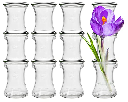 18 Stück Runde Mini Vasen Typ370 Glasfläschchen kleine Dekoflaschen Flasche Väschen Vase Glasflaschen Blumenvase (18 Stück) von Vitrea