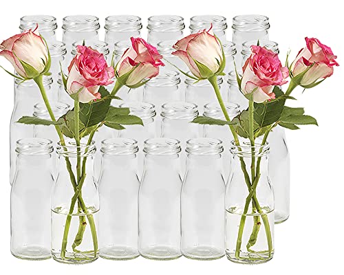48 Stück Runde | Typ 156 | Mini Vasen Glasfläschchen kleine | Dekoflaschen Flasche | Väschen Vase Glasflaschen Blumenvase (48 Stück) von Vitrea