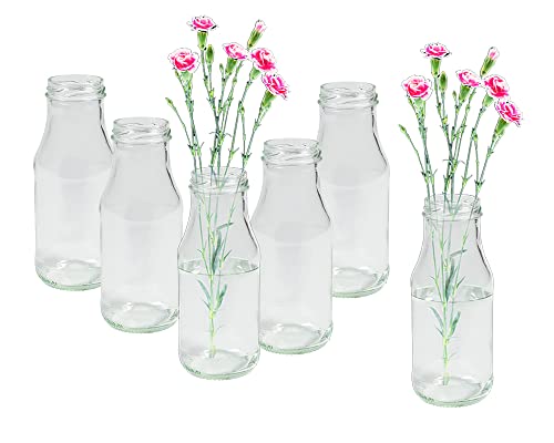 6 Stück Runde Mini Vasen Typ 263 Glasfläschchen kleine Dekoflaschen Flasche Väschen Vase Glasflaschen Blumenvase (6 Stück) von Vitrea