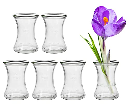 6 Stück Runde Mini Vasen Typ370 Glasfläschchen kleine Dekoflaschen Flasche Väschen Vase Glasflaschen Blumenvase (6 Stück) von Vitrea