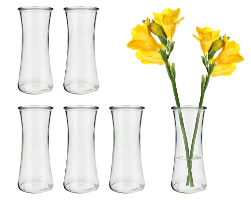 6 Stück Runde Mini Vasen Typ700 Glasfläschchen kleine Dekoflaschen Flasche Väschen Vase Glasflaschen Blumenvase (6 Stück) von Vitrea