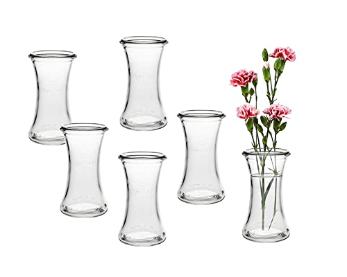 6 Stück Runde Typ DEL100 Mini Vasen Glasfläschchen kleine Dekoflaschen Flasche Väschen Vase Glasflaschen Blumenvase (6) von Vitrea