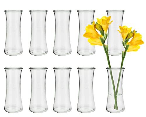 8 Stück Runde Mini Vasen Typ700 Glasfläschchen kleine Dekoflaschen Flasche Väschen Vase Glasflaschen Blumenvase (8 Stück) von Vitrea