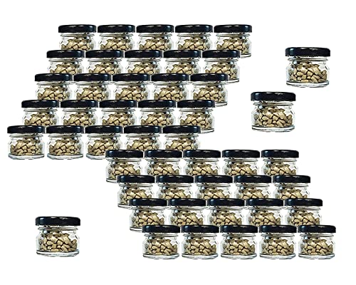 Vitrea 48er Set Mini Einmachgläser mit Schraubdeckel Schwarz 30 ml 4,3 x 3,5 cm (ØxH) Sturzgläser Gläser Rundgläser Marmeladengläser Senf (Schwarz) von Vitrea