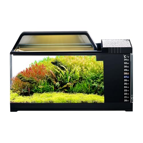 Desktop -Aquarium -Set - Kompakter LED -Fischtank, Filtrationspumpe Kit | Wasserbehälter, Intelligentes Aquariumgerät, Dekorativer Schlafzimmertank, Ruhiges Nano -Aquarium -Setup Mit Wohnzimme Desktop -Aquarium -Set - Kompakter LED -Fischtank, Filtrationspumpe Kit | Wasserbehälter, Intelligentes Aquariumgerät, Dekorativer Schlafzimmertank, Ruhiges Nano -Aquarium -Setup Mit Wohnzimme von Vitsrisea