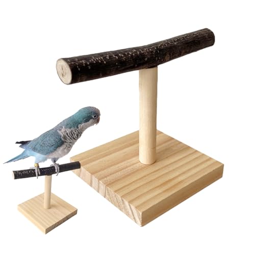 T Perch - Holz 15x12 cm Tabletop Ständer, natürliche Trainingsplattform, tragbares Vogelkäfig -Zubehör | Sittiche, Cockatiels, Conures, Wellensittiche, Finch, Lovebirds Playtime Accessoires von Vitsrisea