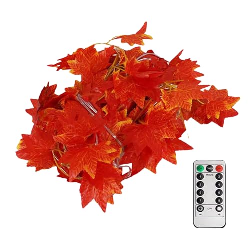 Vitsrisea Herbstlichterkette | USB Lichterkette Mit Timer Für Thanksgiving | Deko Beleuchtung Fernbedienung Ambiente 8 Modi,Für Zuhause Deko Wohnzimmer Kamin Wand Bauernhof Terrasse Garten Vitsrisea Herbstlichterkette | USB Lichterkette Mit Timer Für Thanksgiving | Deko Beleuchtung Fernbedienung Ambiente 8 Modi,Für Zuhause Deko Wohnzimmer Kamin Wand Bauernhof Terrasse Garten von Vitsrisea