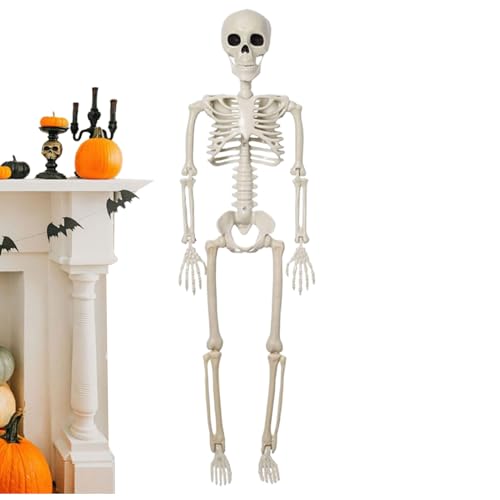 Vitsrisea Skelette Für Halloween - Anatomisches Skelett Mit Voll Beweglichen Gelenken | Friedhofsdekoration Totenkopf Figur Knochen Statue Deko Für Innen Außen Tisch Garten Kaminsims Vitsrisea Skelette Für Halloween - Anatomisches Skelett Mit Voll Beweglichen Gelenken | Friedhofsdekoration Totenkopf Figur Knochen Statue Deko Für Innen Außen Tisch Garten Kaminsims von Vitsrisea
