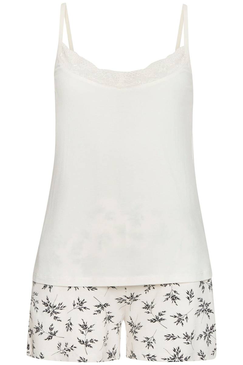 Shorty von Vivance Dreams