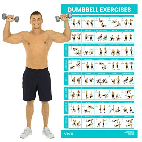 Vive Dumbbell Training Poster von Vive