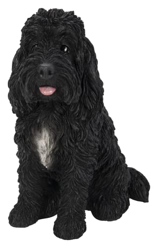 Vivid Arts (Schwarzer Cockapoo sitzend) von Vivid Arts