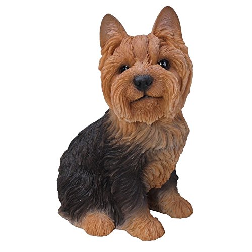 Vivid Arts Hundefigur aus Kunstharz, Modell: Yorkshire Terrier, sitzend, Größe B von Vivid Arts