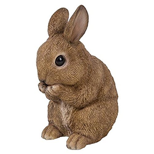 Vivid Arts - Rabbit Pet Pals – Sitzender Babyhase (XRL-RB03-E). von Vivid Arts