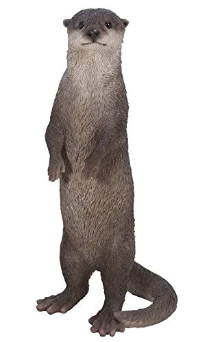 Vivid Arts Real Life Stehender Otter, Größe B von Vivid Arts