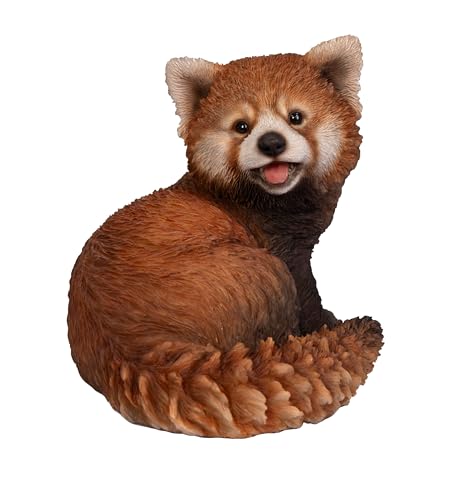Vivid Arts - Red Panda - PP-RPAN-F von Vivid Arts