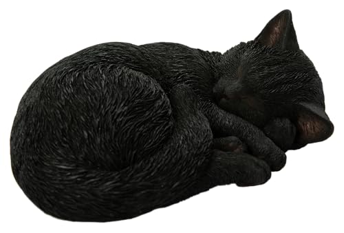 Vivid Arts - Schlafende Katze schwarz - XRL-ZC37-D Vivid Arts - Schlafende Katze schwarz - XRL-ZC37-D von Vivid Arts