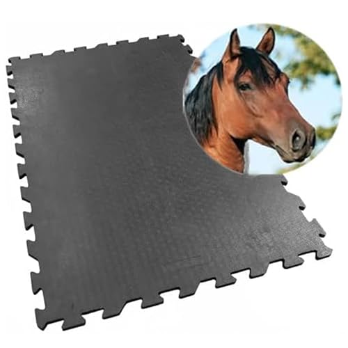 Vivol Gummi Stallmatte - Puzzlesystem - 80 x 120 cm - 20mm - Gummimatte Pferd rutschfest, Schalldämmend und mit Drainage von Vivol