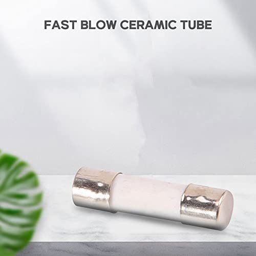 Vjsujehgy 10Pcs 250V 0.5A 500mA flink Keramik Sicherungen Rohre 5mm x 20mm Vjsujehgy 10Pcs 250V 0.5A 500mA flink Keramik Sicherungen Rohre 5mm x 20mm von Vjsujehgy